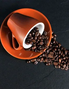 世界杯直播